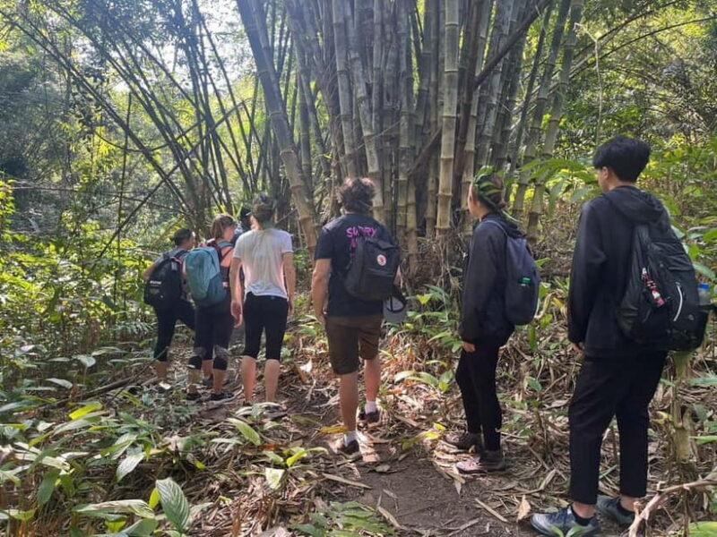 Authentic trek only walk in Chiang Rai jungle - Key Points