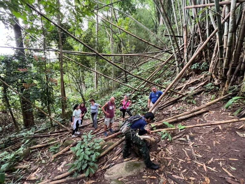 Authentic trek only walk in Chiang Rai jungle - The Value Proposition 