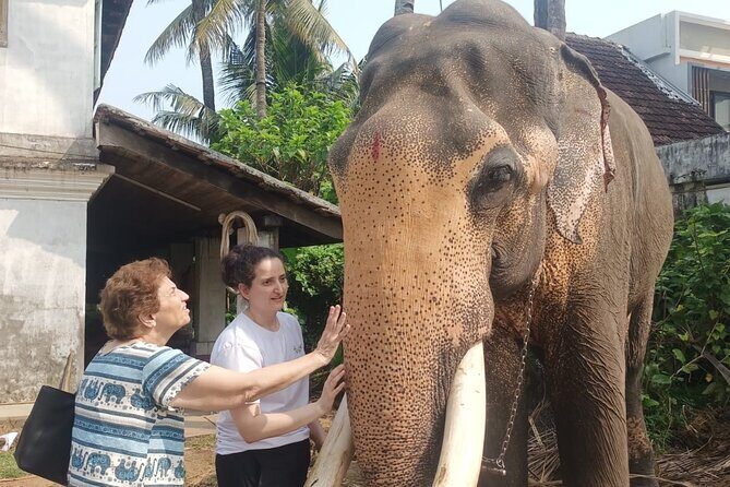 Authentic Tuk Tuk Heritage Tour of Kochi with Local Guide - Key Points