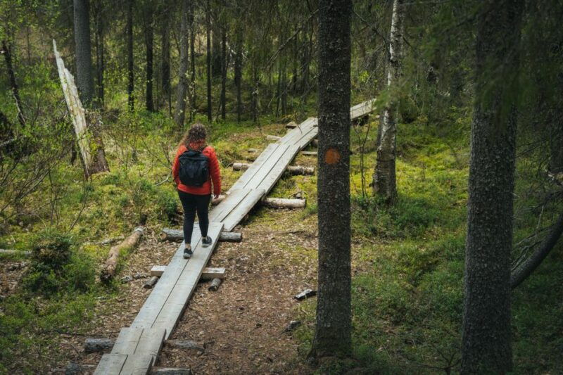 auttikongas-hiking-experience
