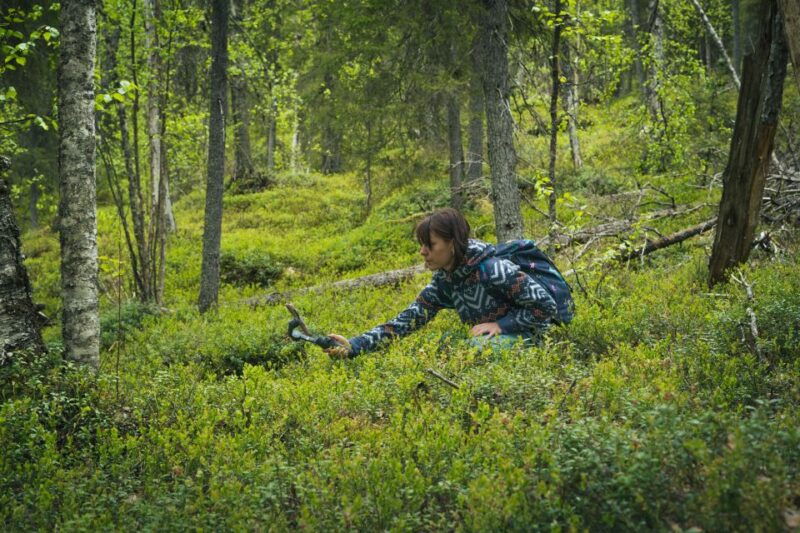 auttikongas-hiking-experience