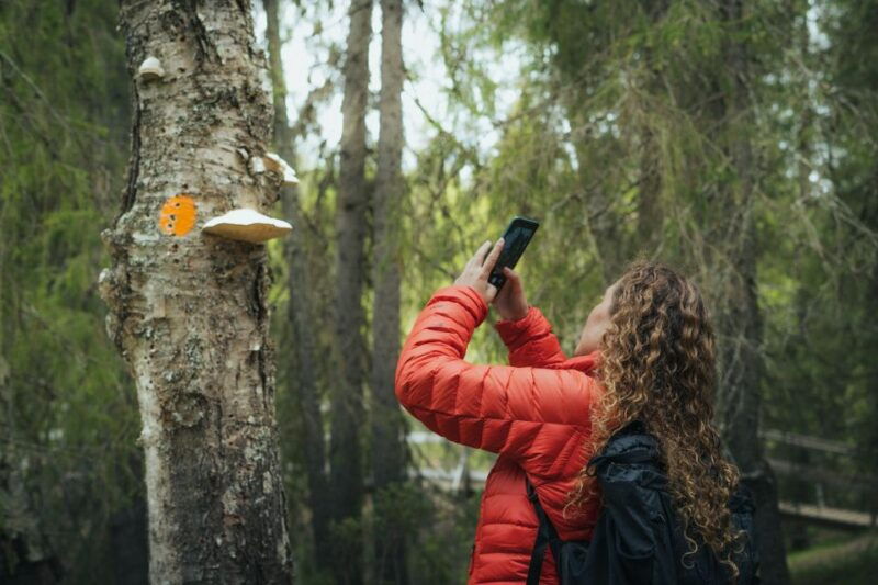 auttikongas-hiking-experience