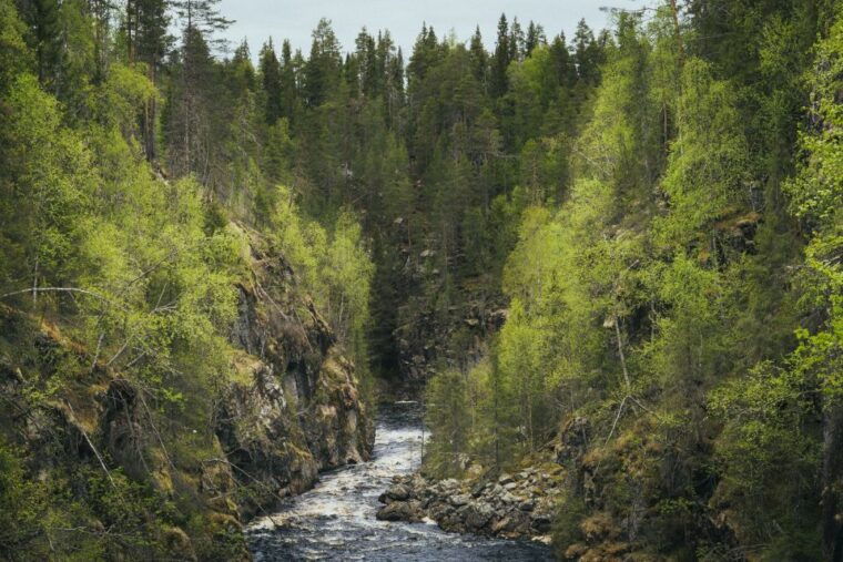 auttikongas-hiking-experience