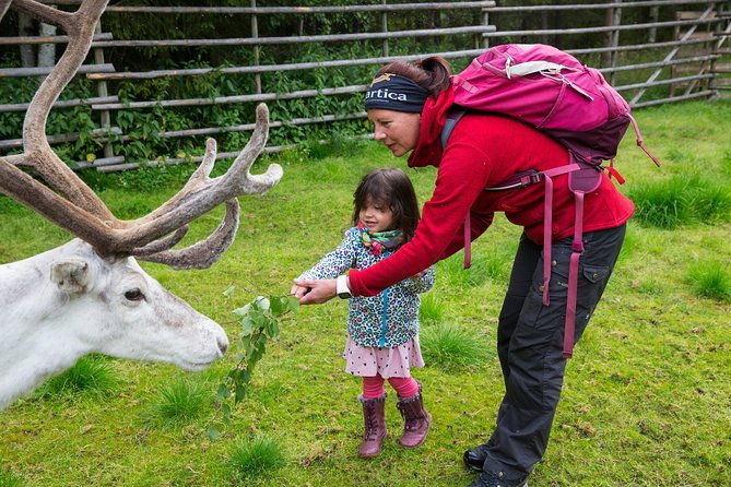 autumn-delight-visit-to-husky-reindeer-and-santa-claus-in-rovaniemi