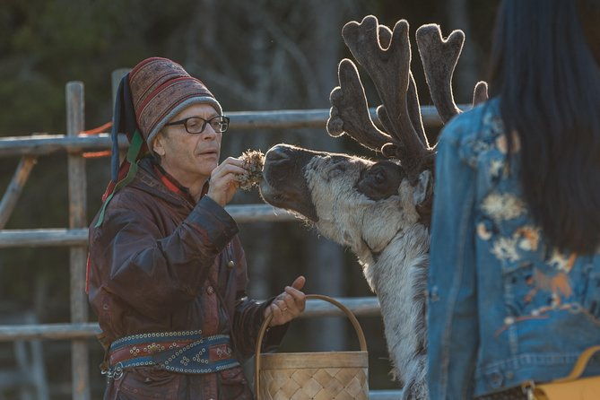 autumn-delight-visit-to-husky-reindeer-and-santa-claus-in-rovaniemi