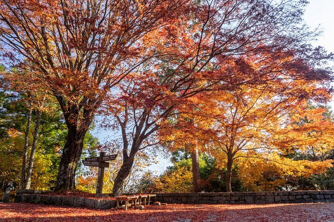 autumn-leaves-buddha-and-mt-yoshino-with-orange-picking-tour