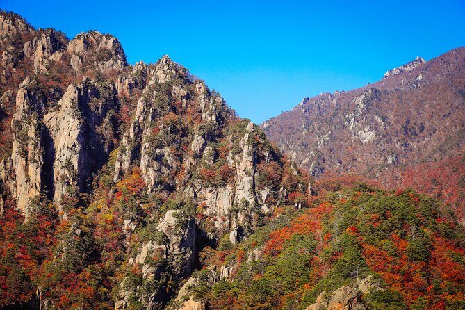 [Autumn] Mt. Seorak & Flower Festival - Practical Tips for Making the Most of Your Day