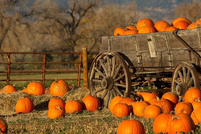 autumn-romance-escape-a-nashville-couples-getaway
