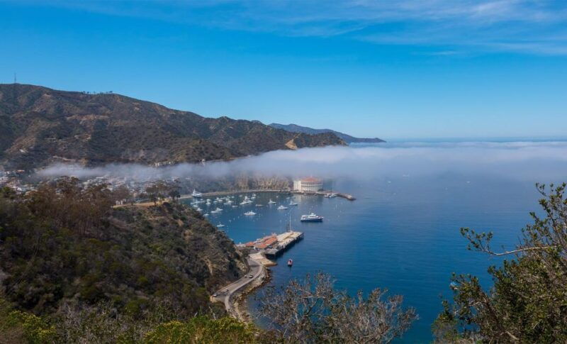 avalon-catalina-island-2-hour-inside-adventure-tour