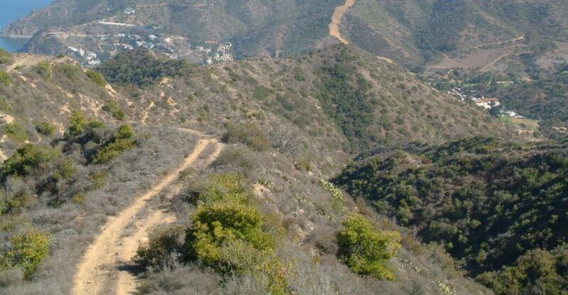 avalon-catalina-island-2-hour-inside-adventure-tour