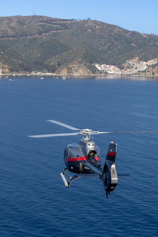 avalon-santa-catalina-island-aerial-helicopter-tour