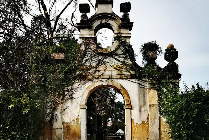 aveiro-and-coimbra-private-tour-from-porto