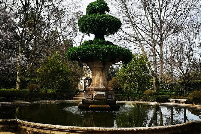 aveiro-and-coimbra-private-tour-from-porto