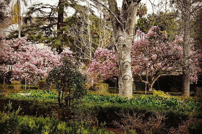 aveiro-and-coimbra-private-tour-from-porto