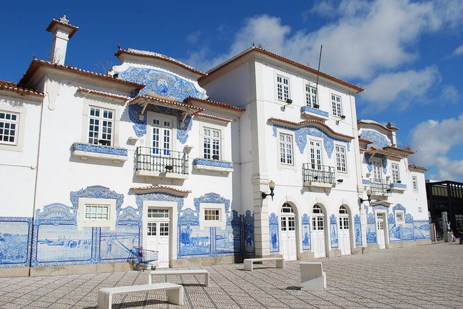 aveiro-and-costa-nova-half-day-tour-from-porto-with-boat-ride