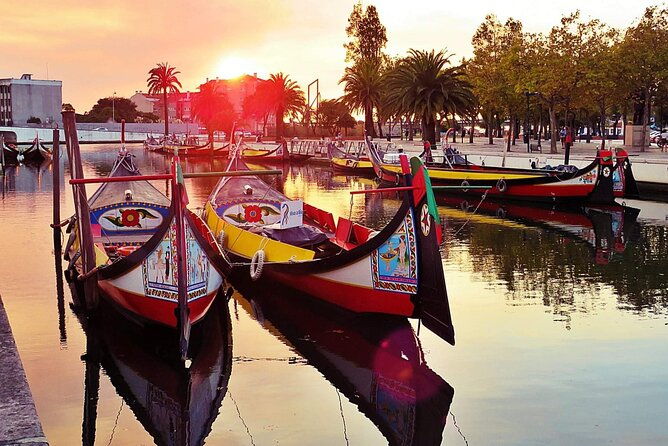 aveiro-and-new-costa-private-full-day-tour-from-porto
