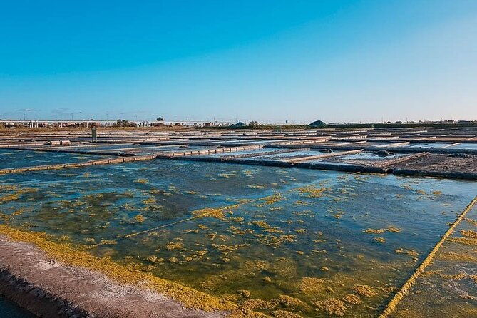 aveiro-and-new-costa-private-full-day-tour-from-porto