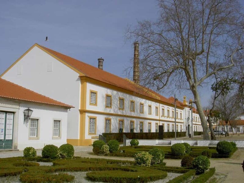 Aveiro City Tour: Private day trip with tickets included. - Exploring the Charm of Aveiro in Depth
