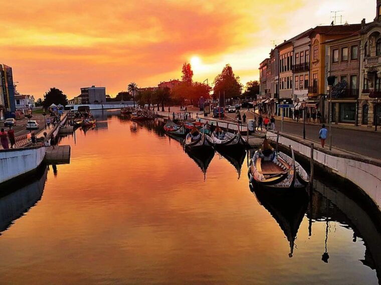 aveiro-costa-nova-and-coimbra-private-tour-from-porto