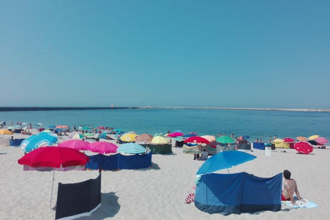 aveiro-costa-nova-beach-and-moliceiro-boat-half-day-from-coimbra-4