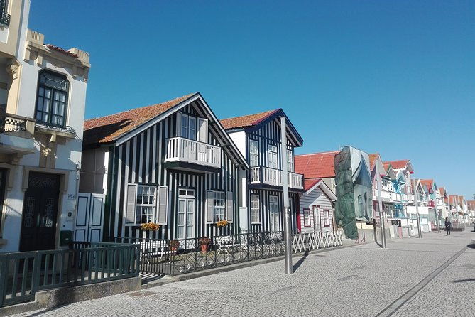 aveiro-costa-nova-beach-and-moliceiro-boat-half-day-from-coimbra-4