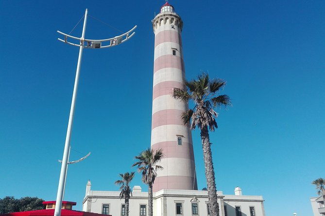 aveiro-costa-nova-beach-and-moliceiro-boat-half-day-from-coimbra-4