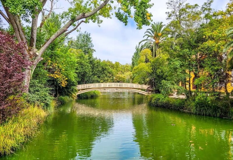 Aveiro & Costa Nova Day Trip  Full Access Included - Key Points