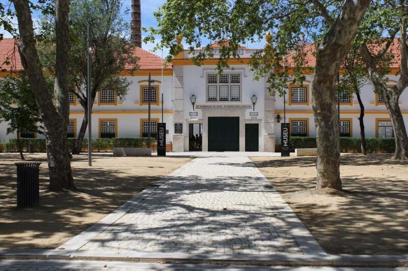 Aveiro: Cruise, Museums & Heritage  Tickets Included - Who Will Love This Tour?