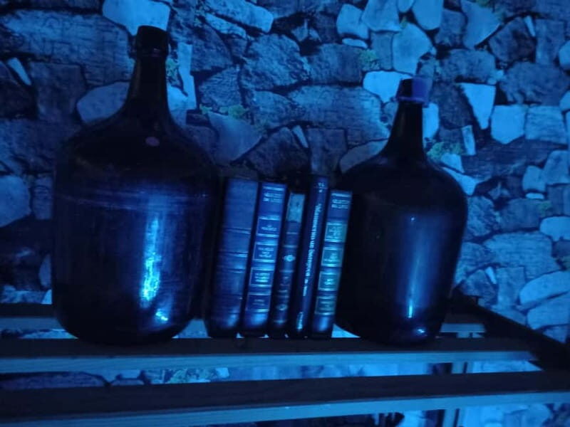 Aveiro: Escape Manor Escape Room - Practical Details & Tips