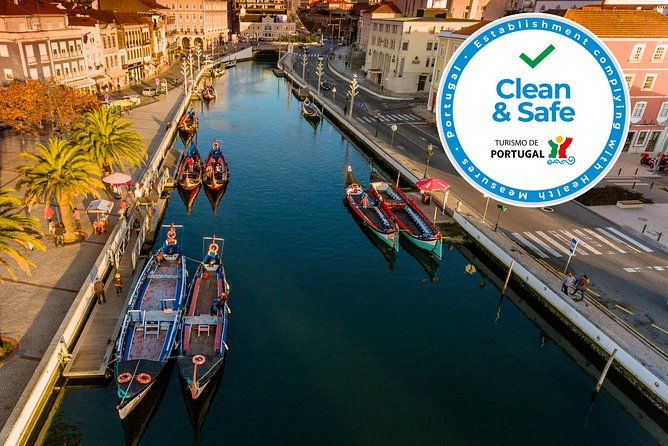 aveiro-half-day-private-tour-porto-w-moliceiro-river-cruise