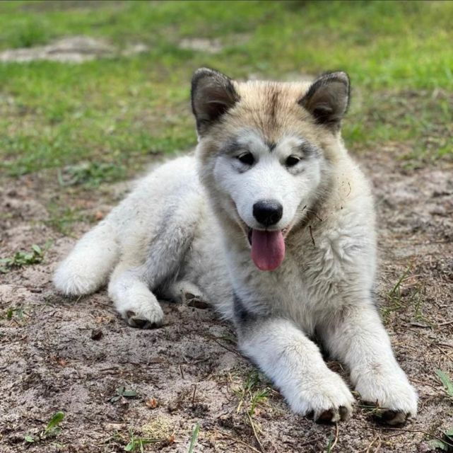 aveiro-horseback-riding-at-a-pedagogical-farm