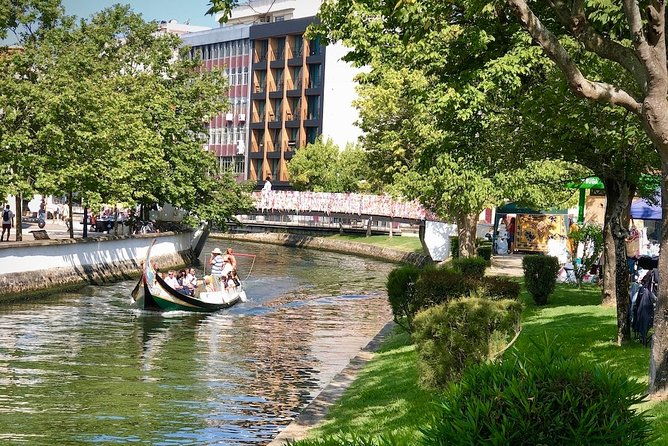 aveiro-rent-a-bike-4-hours-2