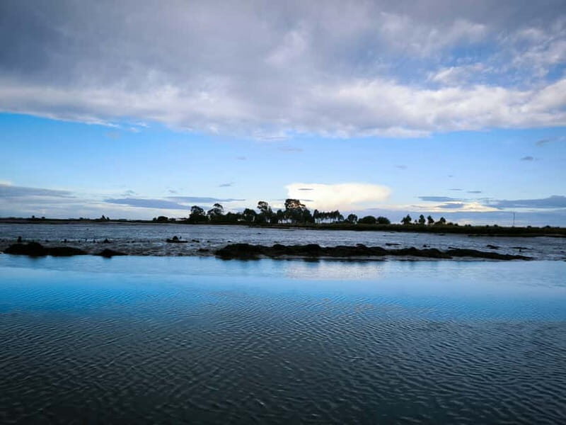 Aveiro: Ria Highlights Boat Tour - Frequently Asked Questions (FAQ)
