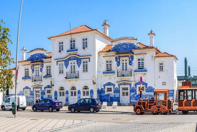 aveiro-small-group-half-day-tour-with-boat-ride
