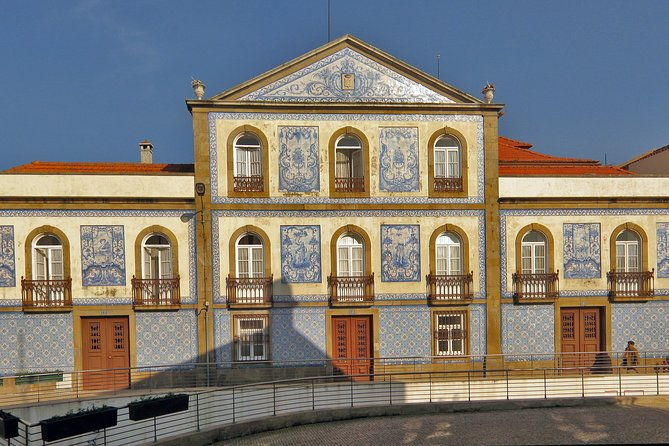 aveiro-small-group-half-day-tour-with-boat-ride