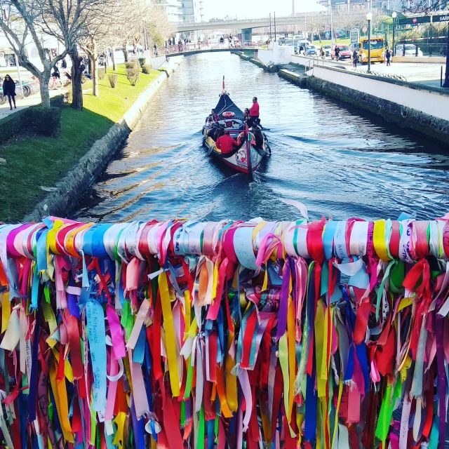 Aveiro: Walking Tour, Boat Cruise, Sweets & Church Entrance - Authentic Experiences That Shine