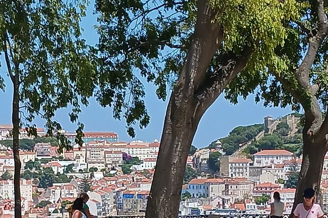 avenida-da-liberdade-principe-real