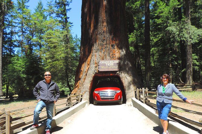 avenue-of-the-giants-redwoods-private-2-day-tour-1-night-hotel