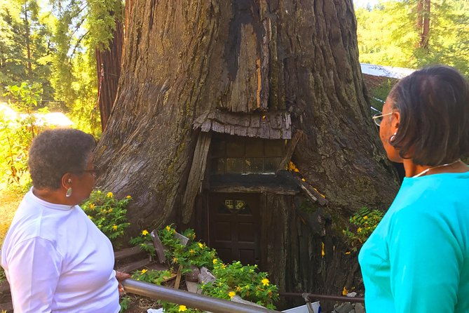 avenue-of-the-giants-redwoods-private-2-day-tour-1-night-hotel