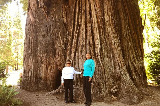 avenue-of-the-giants-redwoods-private-2-day-tour-1-night-hotel