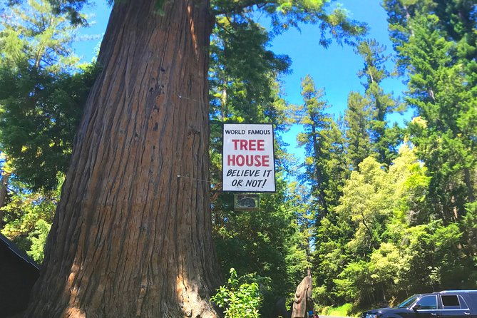 avenue-of-the-giants-redwoods-private-2-day-tour-1-night-hotel