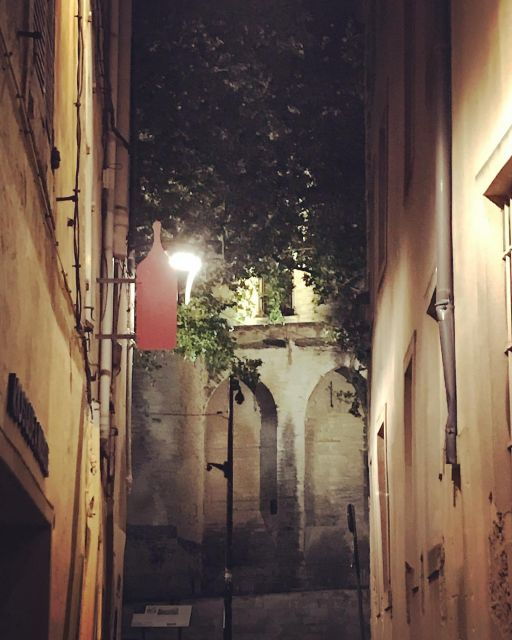 avignon-around-the-palace-tour