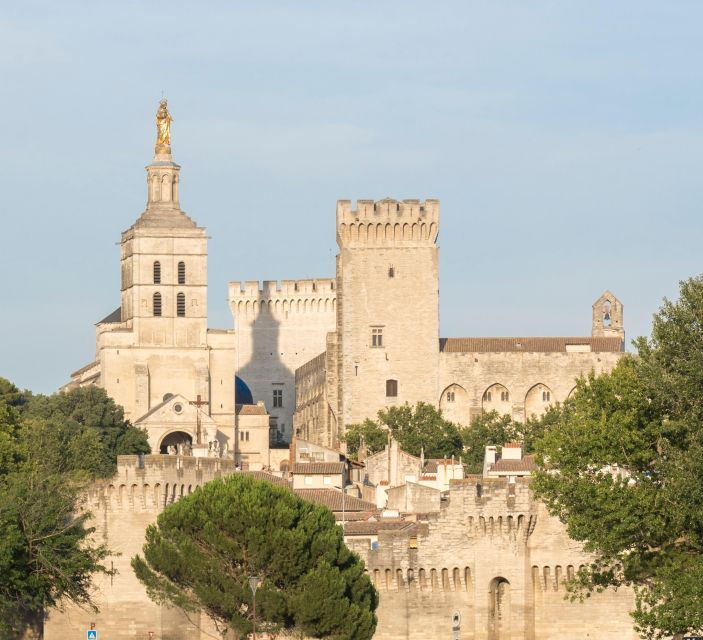 avignon-city-walking-tour-with-popes-palace-entry