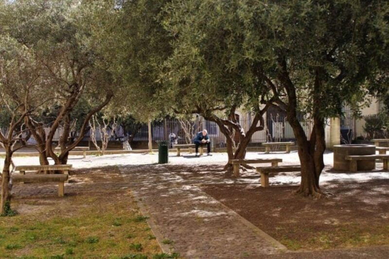avignon-emblematic-squares-tour