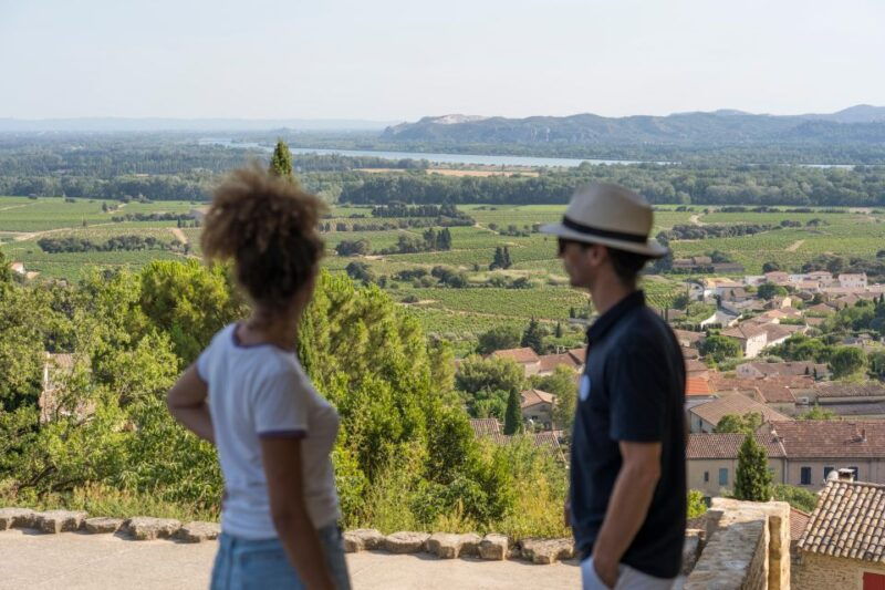 avignon-full-day-chateauneuf-du-pape-wines-luberon-tour