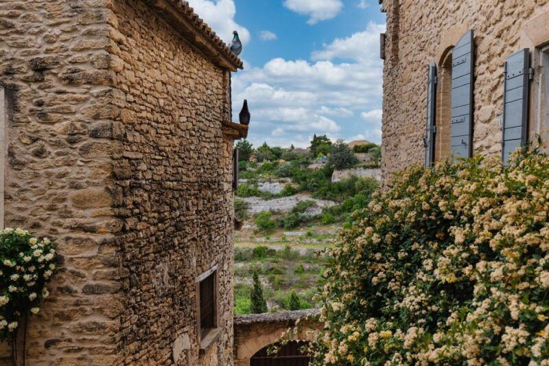 avignon-full-day-chateauneuf-du-pape-wines-luberon-tour