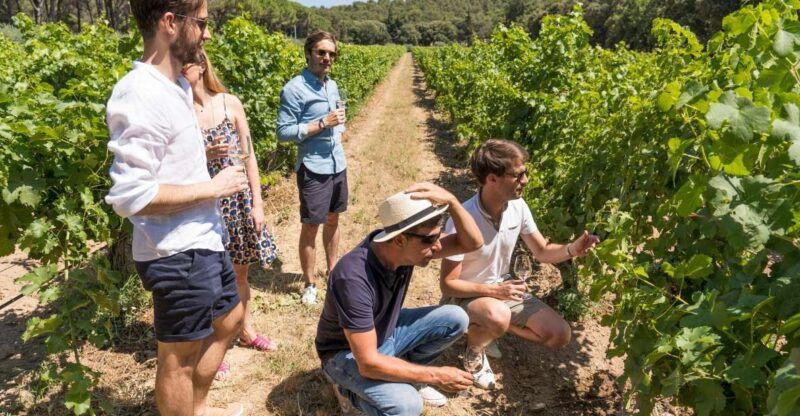 avignon-full-day-chateauneuf-du-pape-wines-luberon-tour