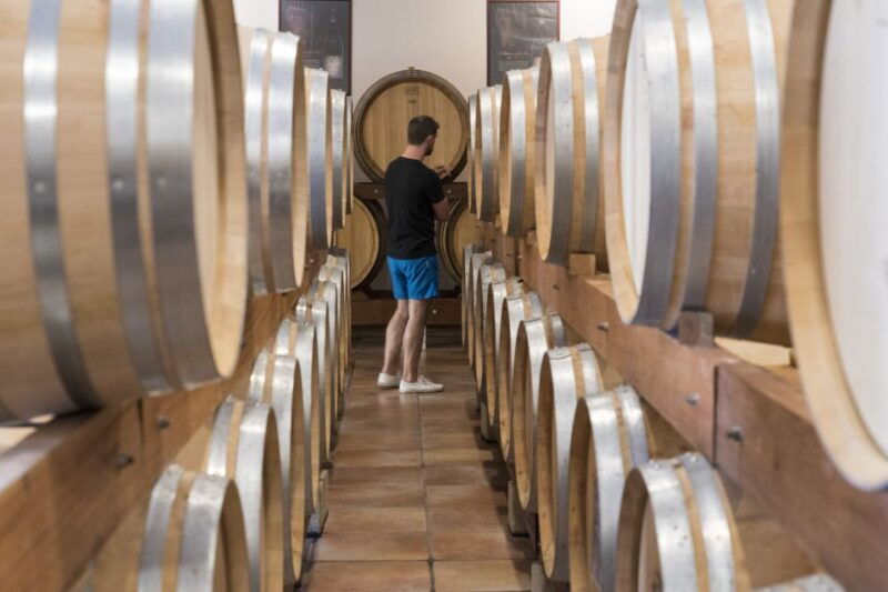 avignon-full-day-chateauneuf-du-pape-wines-luberon-tour