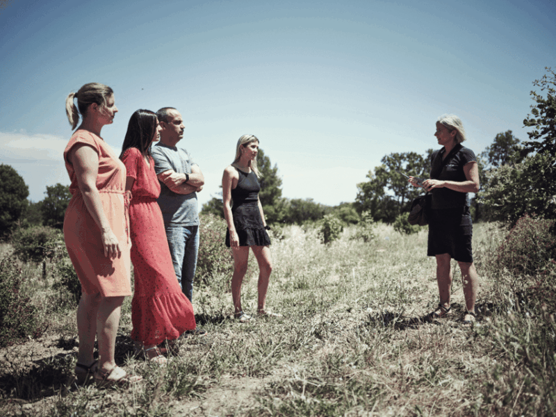 avignon-full-day-truffles-and-chateauneuf-du-pape-wines