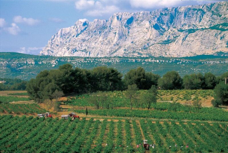 avignon-full-day-wine-tour-around-chateauneuf-du-pape